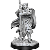 D&D Nolzurs Marvelous Unpainted Miniatures  - Hobgoblin Devastator & Hobgoblin Iron Shadow - (DB) - Gap Games