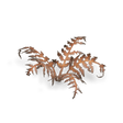 Laser Plants - Dry Bracken - Gap Games
