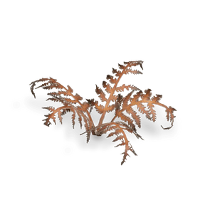Laser Plants - Dry Bracken - Gap Games