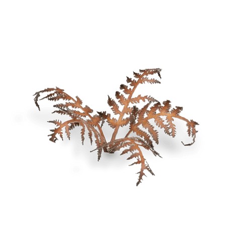 Laser Plants - Dry Bracken - Gap Games