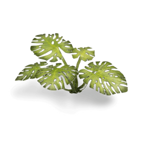 Laser Plants - Monstera - Gap Games